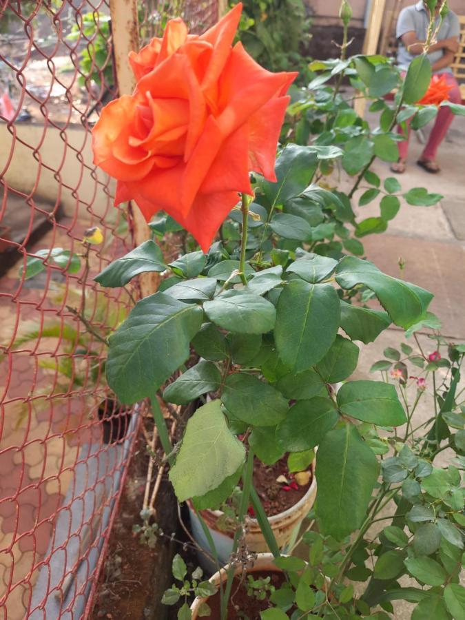 Trimurti Holiday Home Panchgani Eksteriør billede