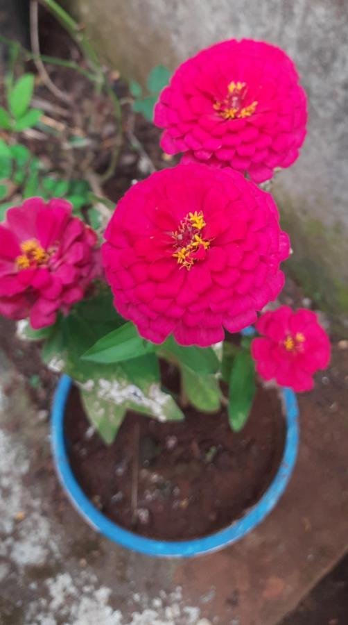 Trimurti Holiday Home Panchgani Eksteriør billede