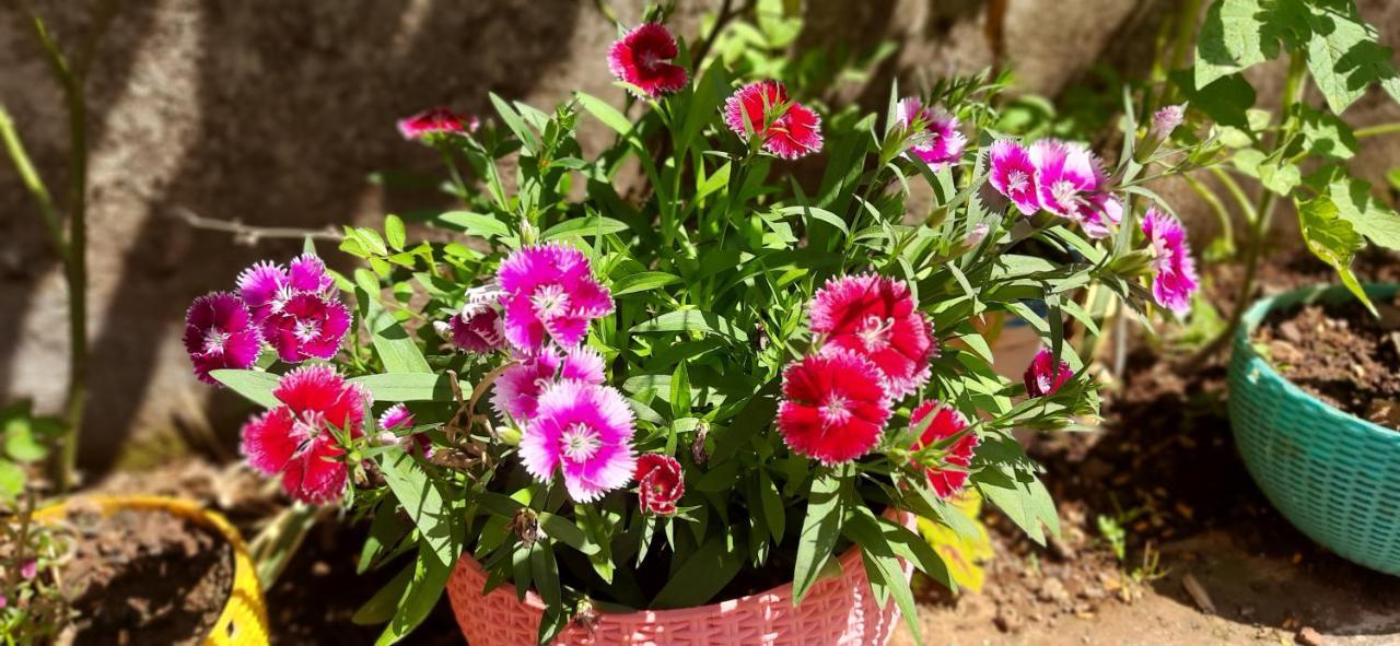 Trimurti Holiday Home Panchgani Eksteriør billede
