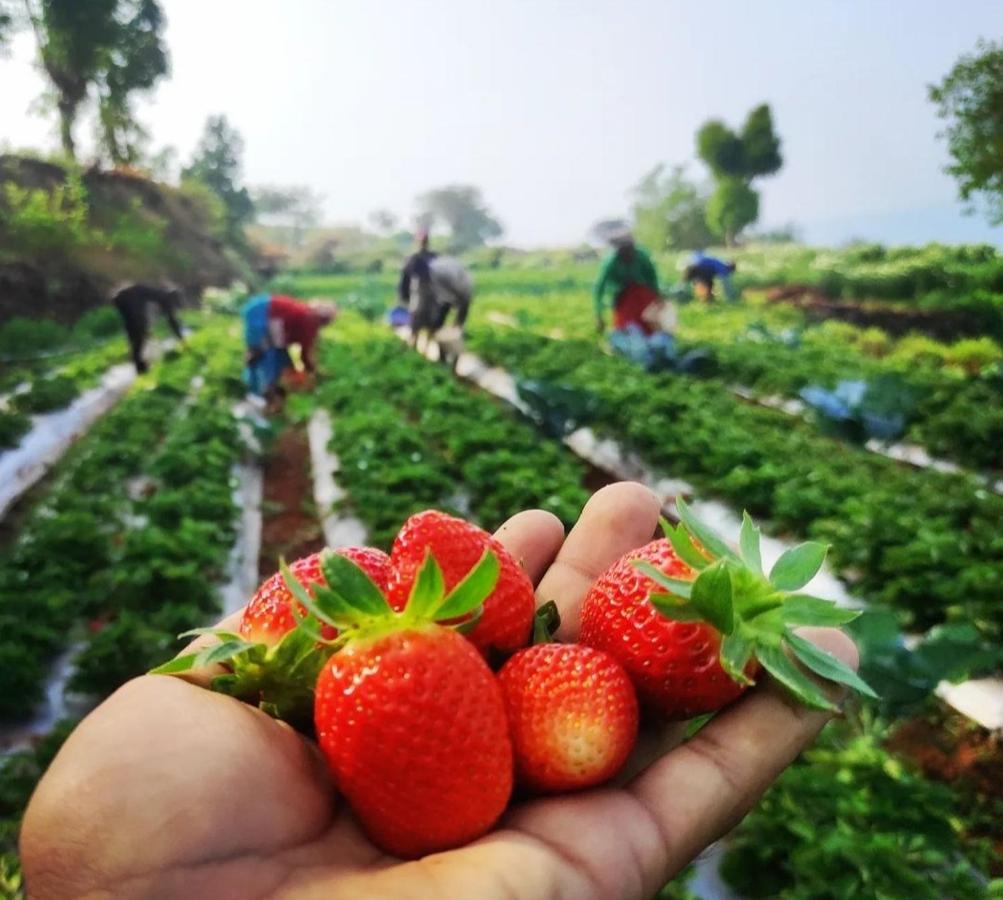 Trimurti Holiday Home Panchgani Eksteriør billede