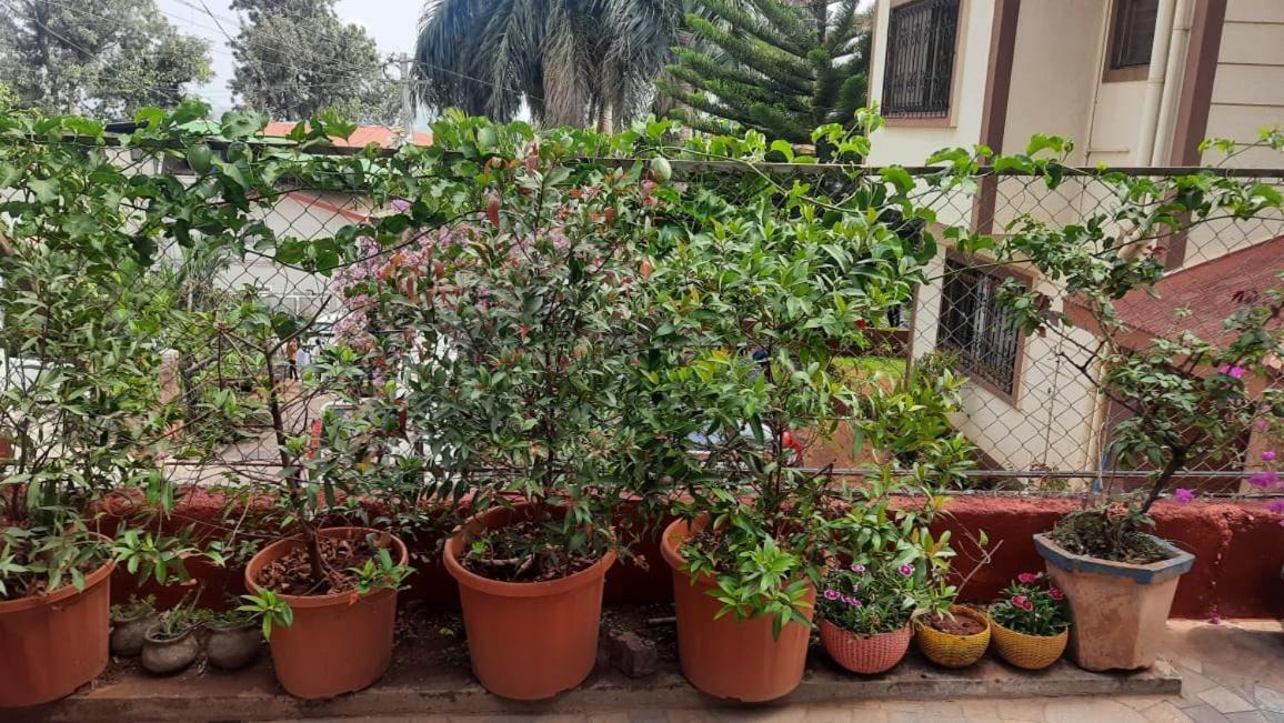 Trimurti Holiday Home Panchgani Eksteriør billede