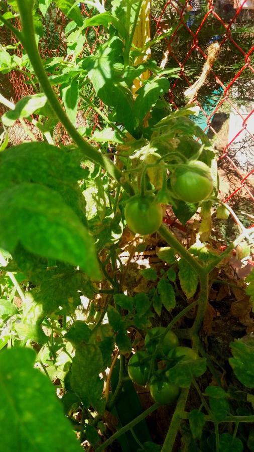Trimurti Holiday Home Panchgani Eksteriør billede